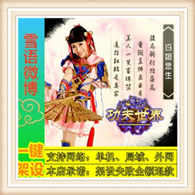 功夫世界一键外网端单机游戏网单高清教程可局域送一键配置IP修改